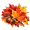 Zenogel Fall Sale